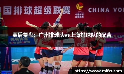 球信网平台