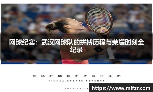 球信网平台