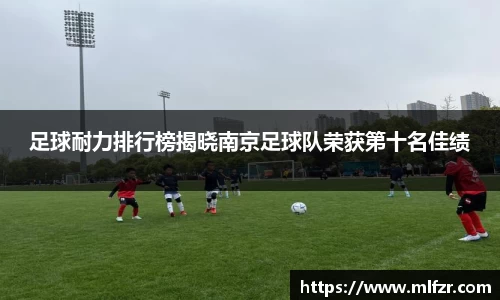 球信网