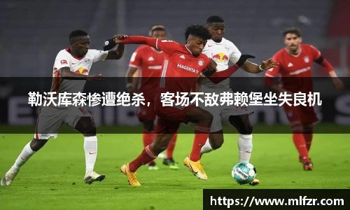 球信网