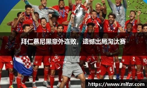 球信网