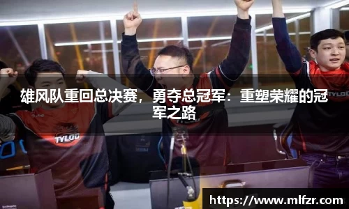 球信网