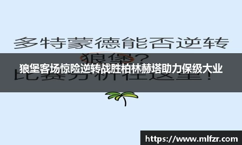 狼堡客场惊险逆转战胜柏林赫塔助力保级大业