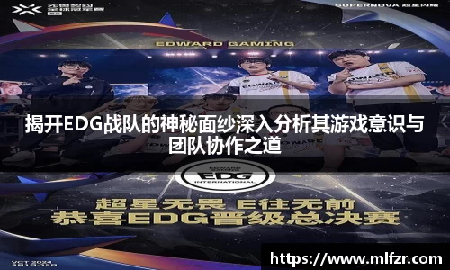 球信网