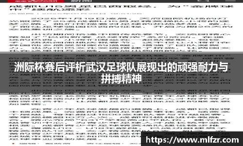 球信网平台