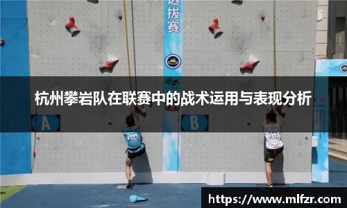 球信网平台