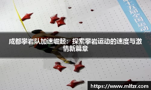球信网网址