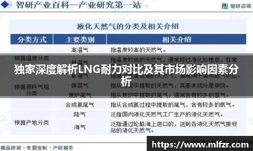 独家深度解析LNG耐力对比及其市场影响因素分析