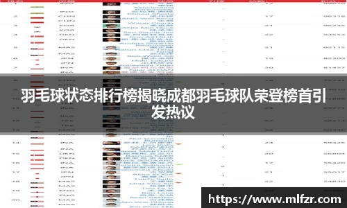 羽毛球状态排行榜揭晓成都羽毛球队荣登榜首引发热议
