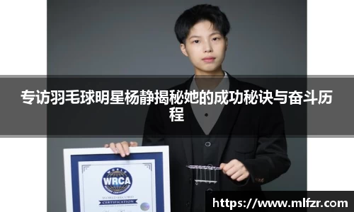 球信网