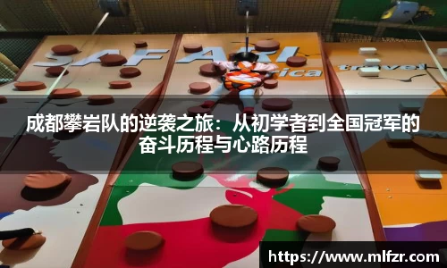 球信网平台