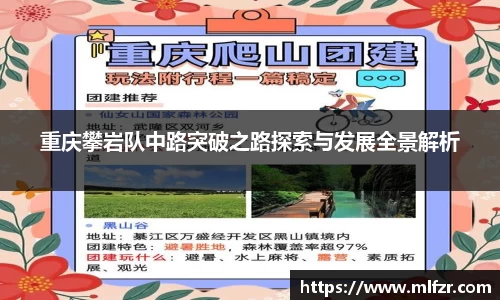 球信网