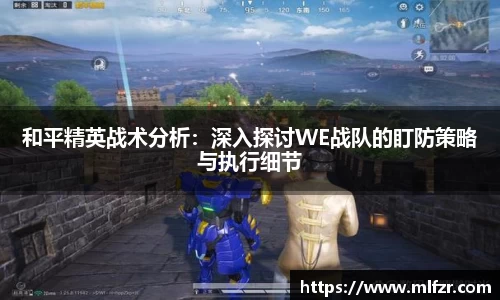 球信网平台