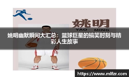 球信网网址