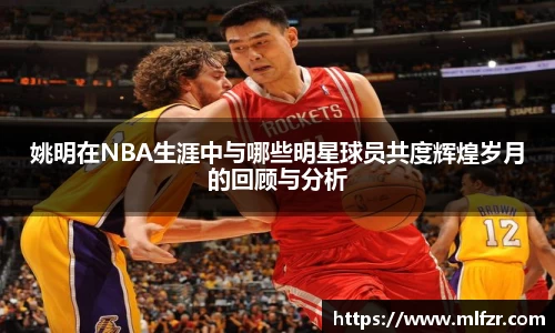 球信网下载