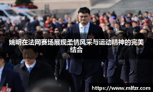 球信网平台