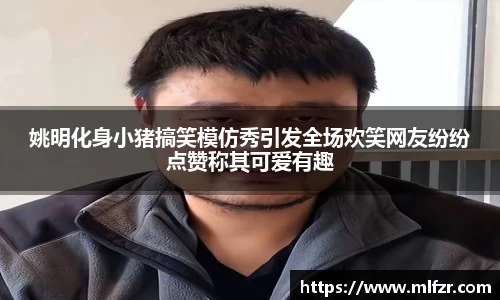球信网