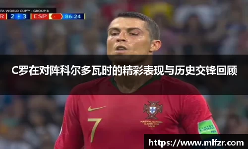 球信网平台