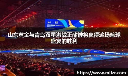 球信网下载