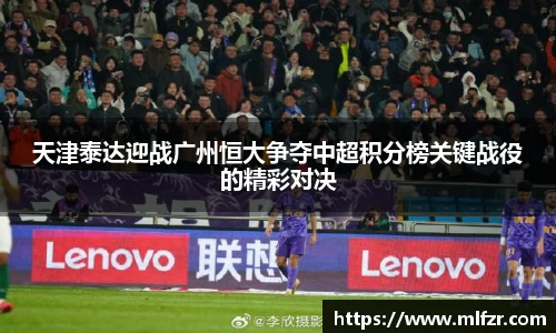 球信网