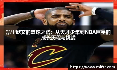 球信网网址