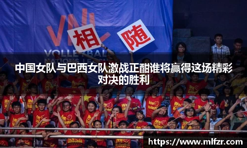 球信网网址