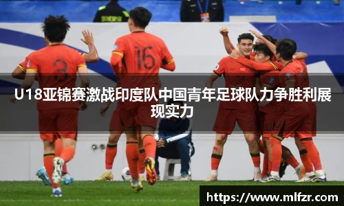 球信网