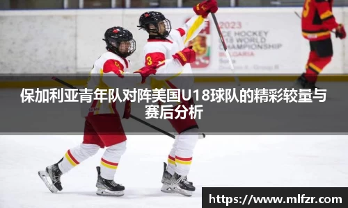 球信网
