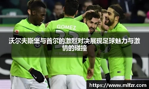 球信网