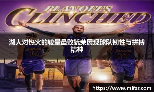 球信网