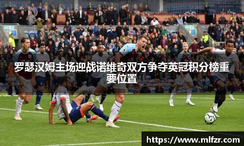 球信网网址