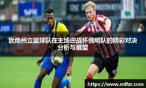 球信网网址