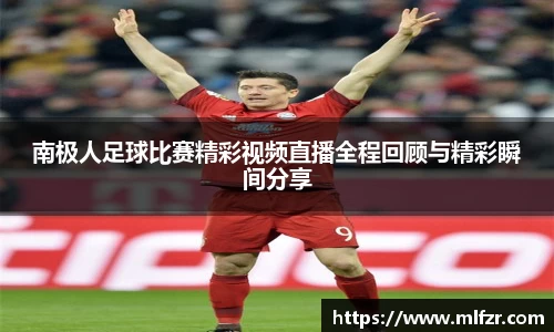 球信网