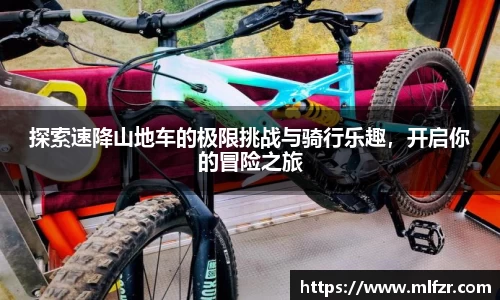 球信网