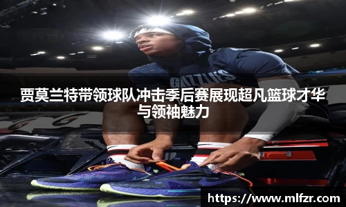 球信网平台