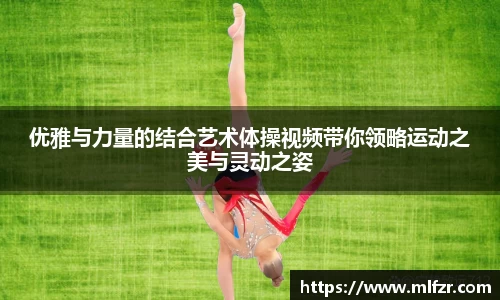 球信网平台